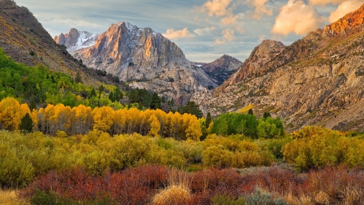 beautiful-autumn-nevada-103645-edited